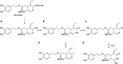 Production of Plant-Derived Oleuropein Aglycone by a Combined Membrane Process and Evaluation of Its Breast Anticancer Properties